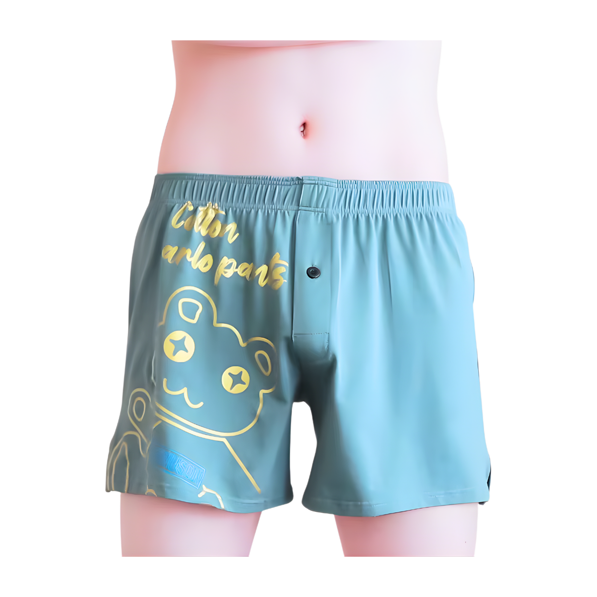 בוקסר ציורים