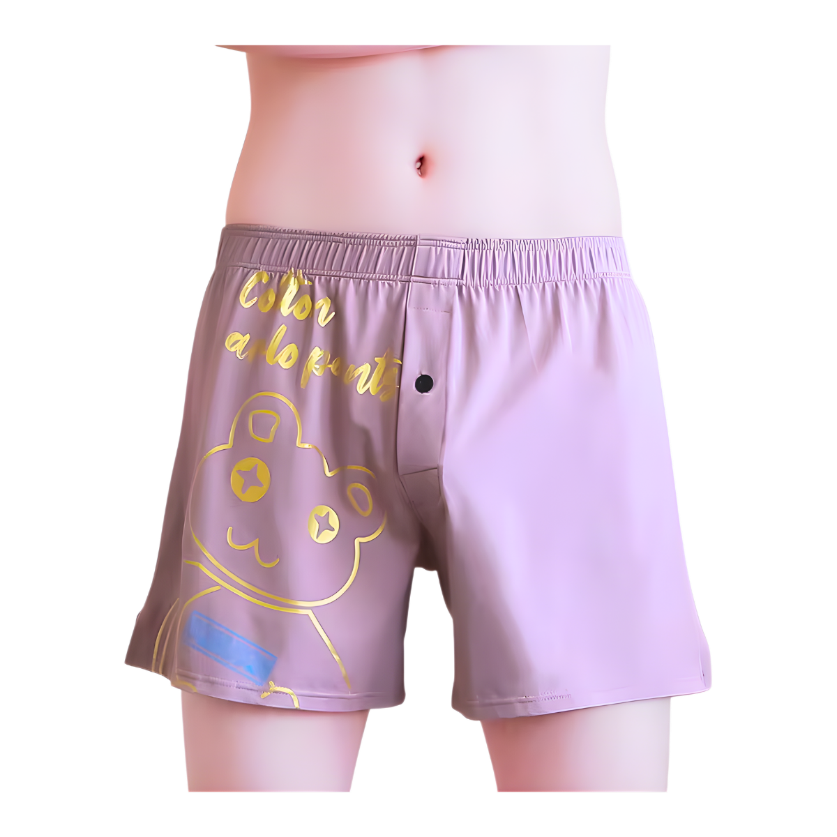 בוקסר ציורים